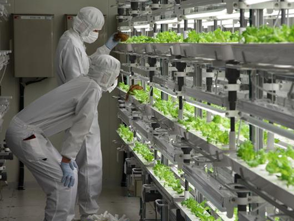 科技創(chuàng)新