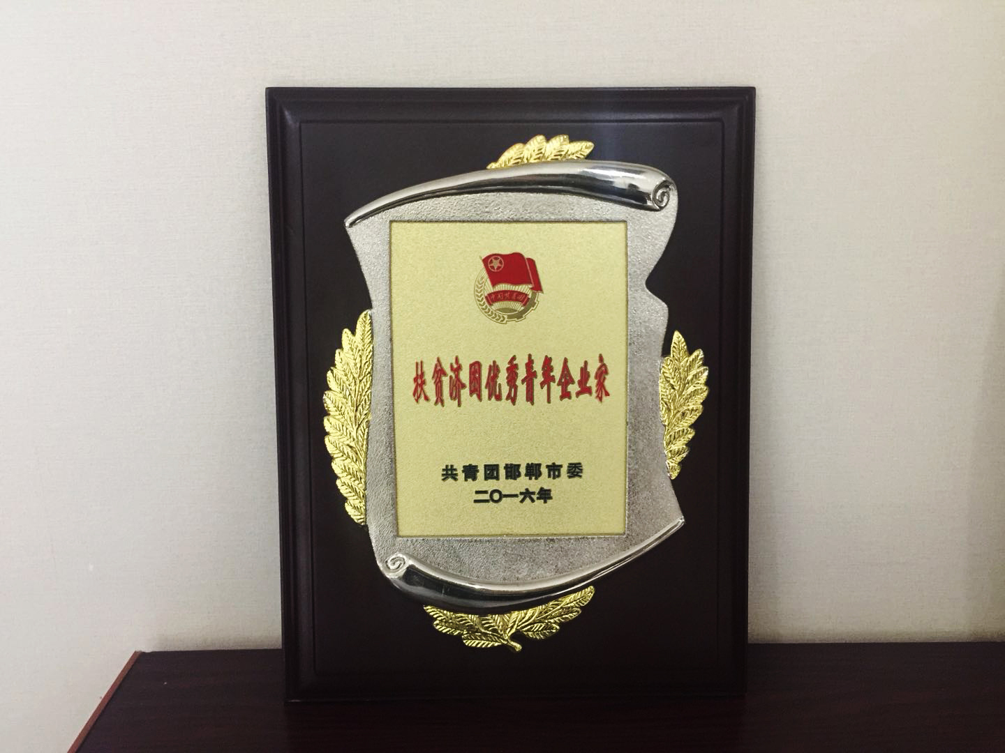 扶貧濟(jì)困優(yōu)秀青年企業(yè)家